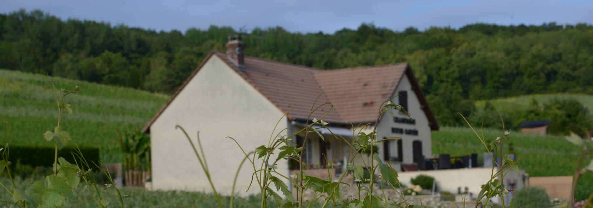 Champagne Boude Baudin - Rue des Vignerons