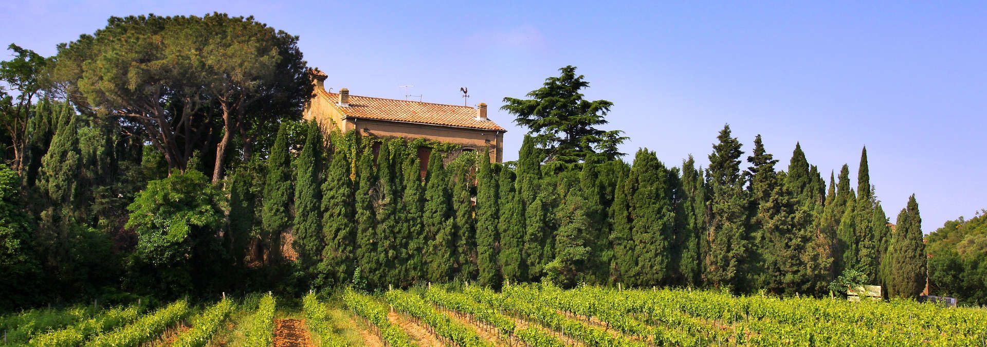 Chateau Beauregard Mirouze - Rue des Vignerons