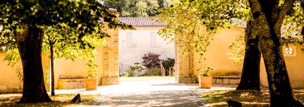 Visite collection-photo