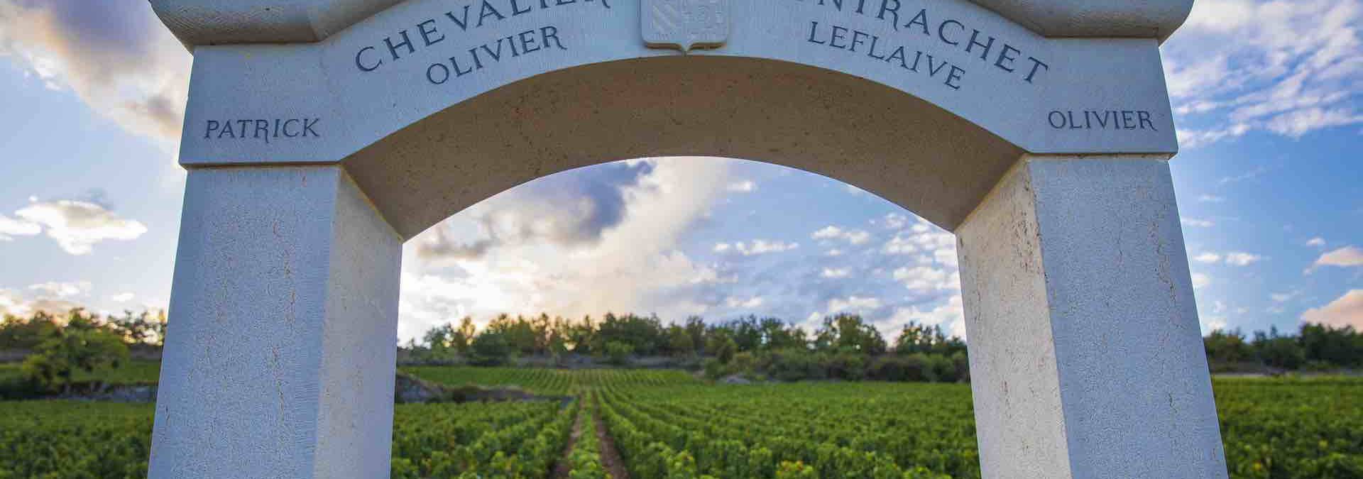 Domaine Olivier Leflaive - Rue des Vignerons