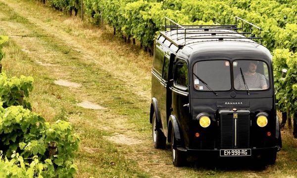 Retro Safari in the vineyards-photo