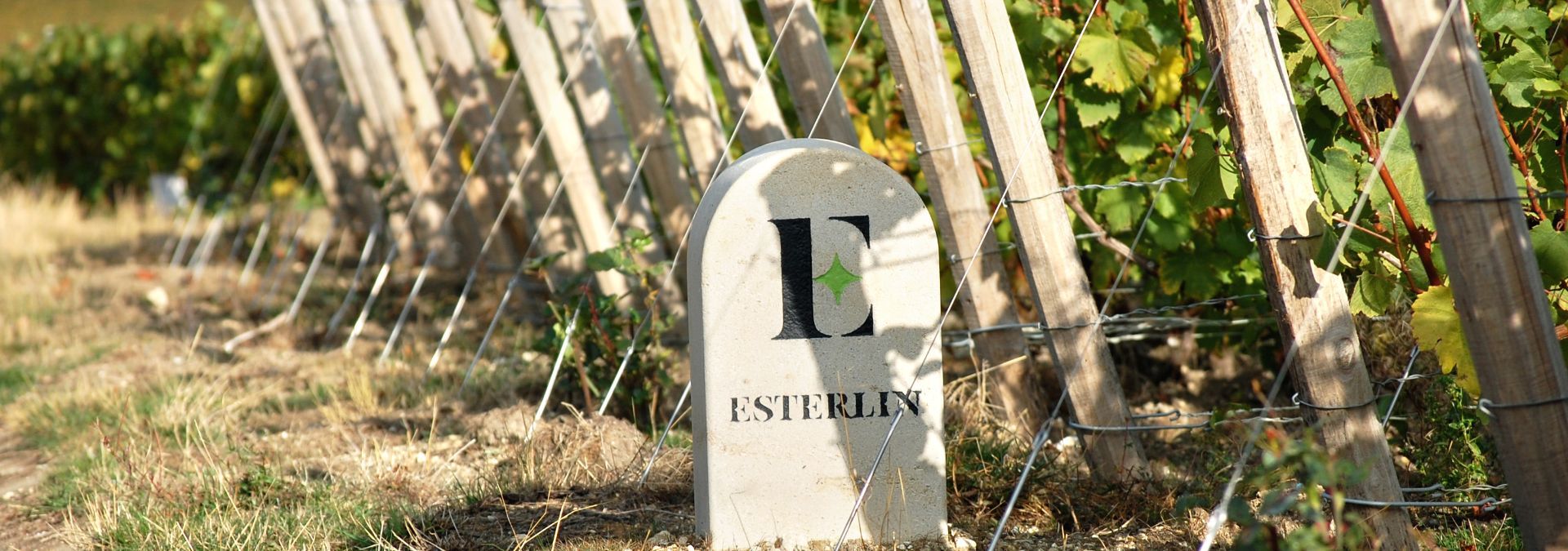 Champagne Esterlin - Rue des Vignerons