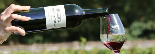 Dalla vite al vino-photo