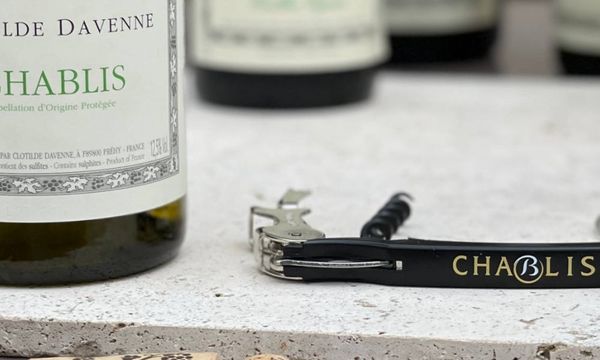Discovery of the Auxerrois and the Chablis regions-photo