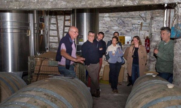 Discovery of the cellars and tasting-photo