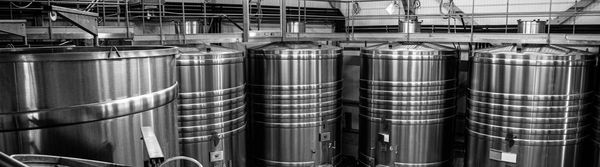 Besuch des Weinguts und Geschichte der Appellation-photo
