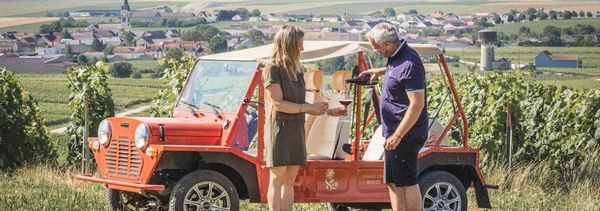 Vineyard walks - Snack Pack-photo