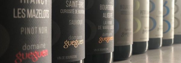 Dégustation au cœur du vignoble chablisien-photo