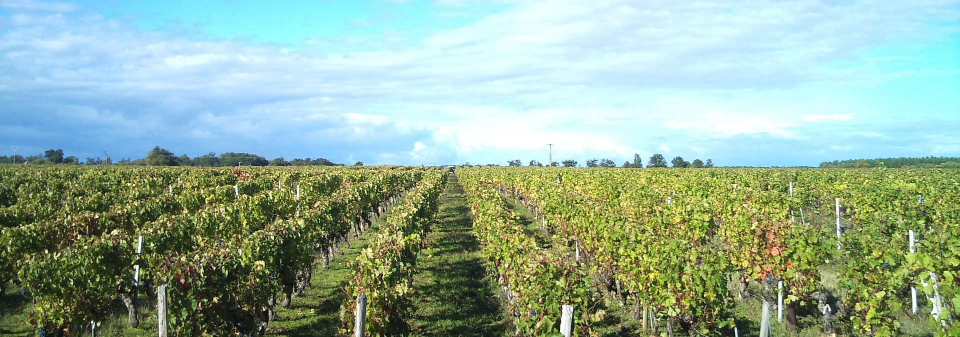 Chateau de Cach - Rue des Vignerons