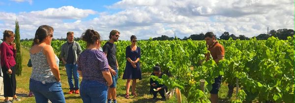 Visit from the vineyards to the cellars-photo