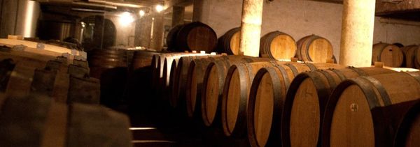 Tour of the cellars and wine tasting-photo