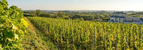 Château de Parnay photo
