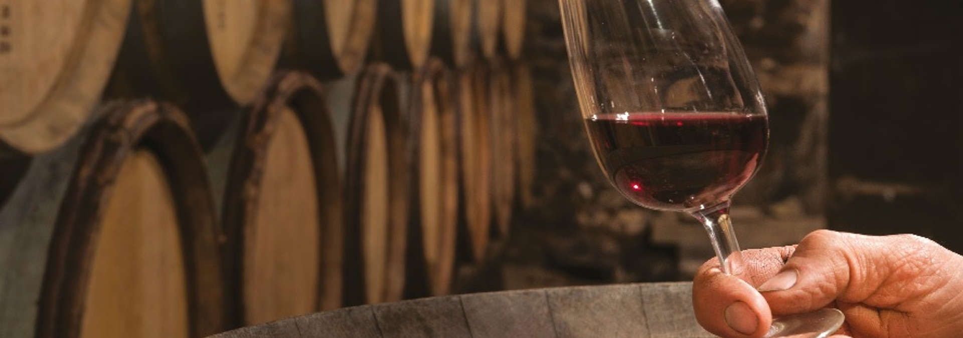 Domaine Emmanuel Fellot - Rue des Vignerons