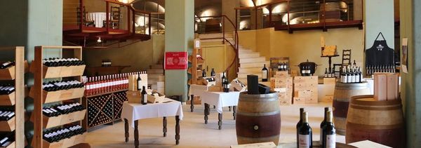 Visita y cata de 5 vinos-photo