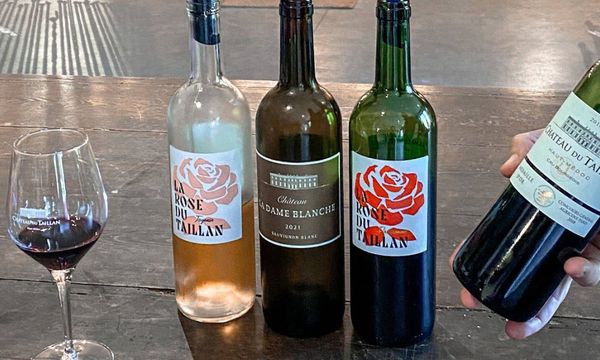 Tasting of 3 wines-photo