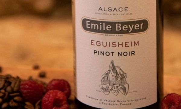Entdeckung der Weine des Weinguts-photo