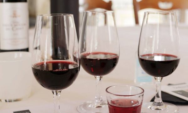 El vino y usted: las claves de la cata-photo