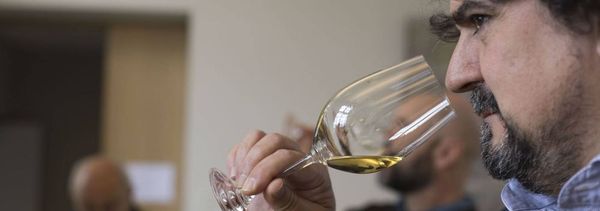 Dégustation d'Exception au Château Climens-photo