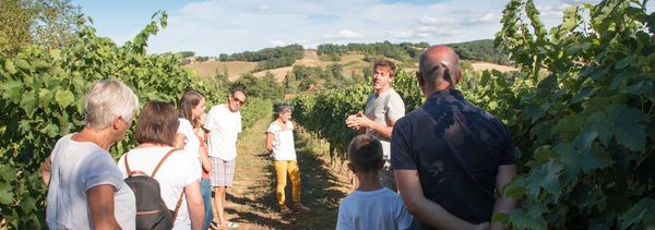 De la vid al vino-photo