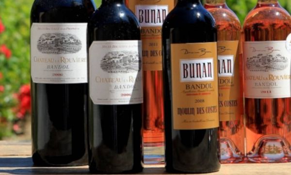 Discover our wines of Bandol-photo