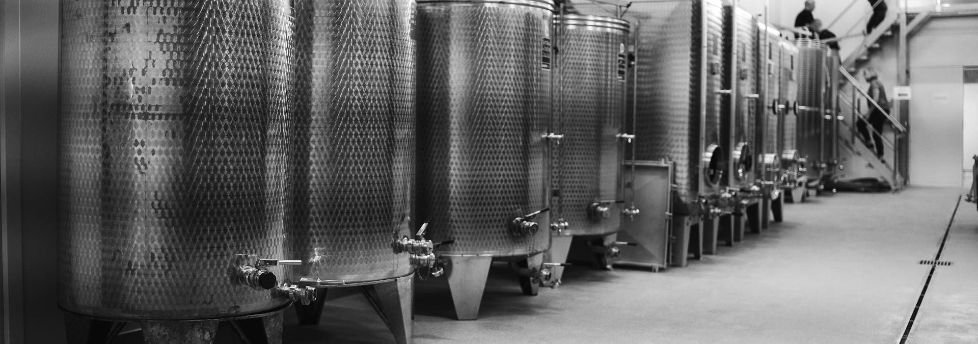 Domaine Baptiste Guyot - Rue des Vignerons
