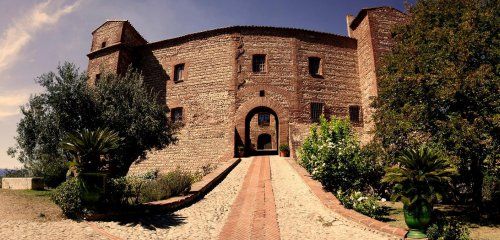 Jonquères d'Oriola Vignobles - Château de Corneilla del Vercol photo