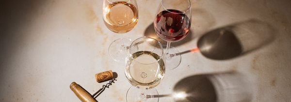 Verkostung der Weine des Château la Gordonne-photo