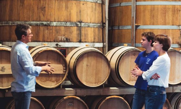 A la découverte des vins et pineaux-photo