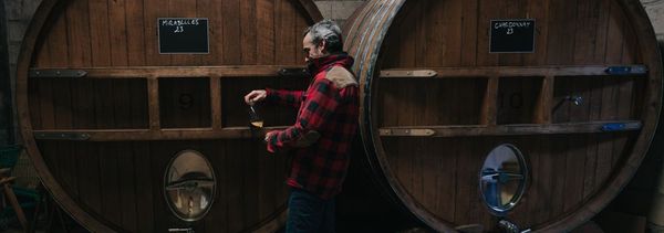 La degustazione nel cuore della fermentazione-photo