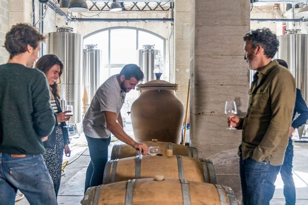 Corso introduttivo alla degustazione-photo