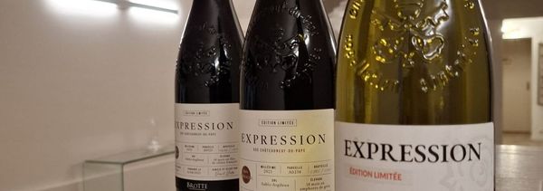 Le Parcours Expression à la Maison Brotte-photo
