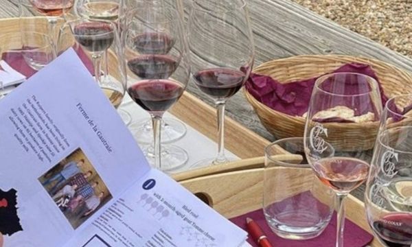 Dégustation en accord Vin et Fromage-photo