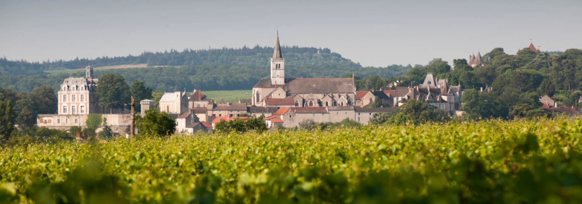 Domaine Ninot - Rue des Vignerons