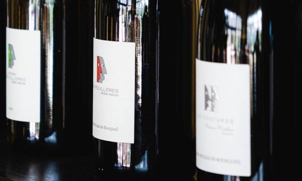 A sensory journey to the heart of our cuvées-photo