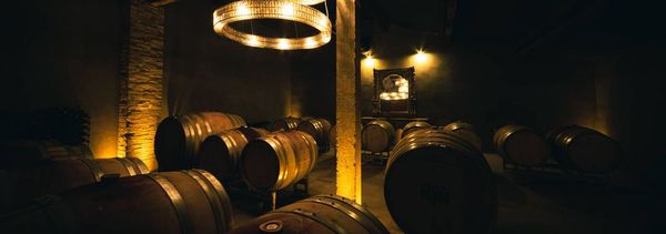 Découverte du Domaine et de ses vins-photo