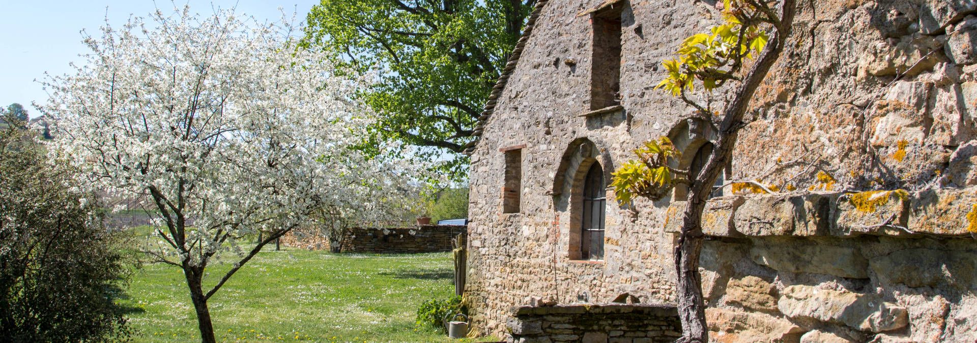 Château de Rougeon - Rue des Vignerons