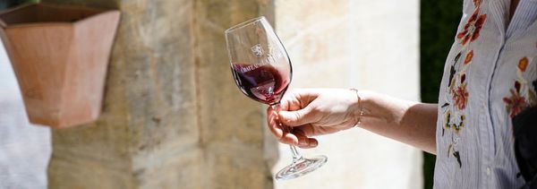 Dégustation Château de La Rivière-photo