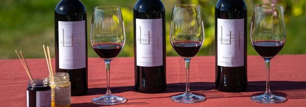Vertical Red Tasting-photo