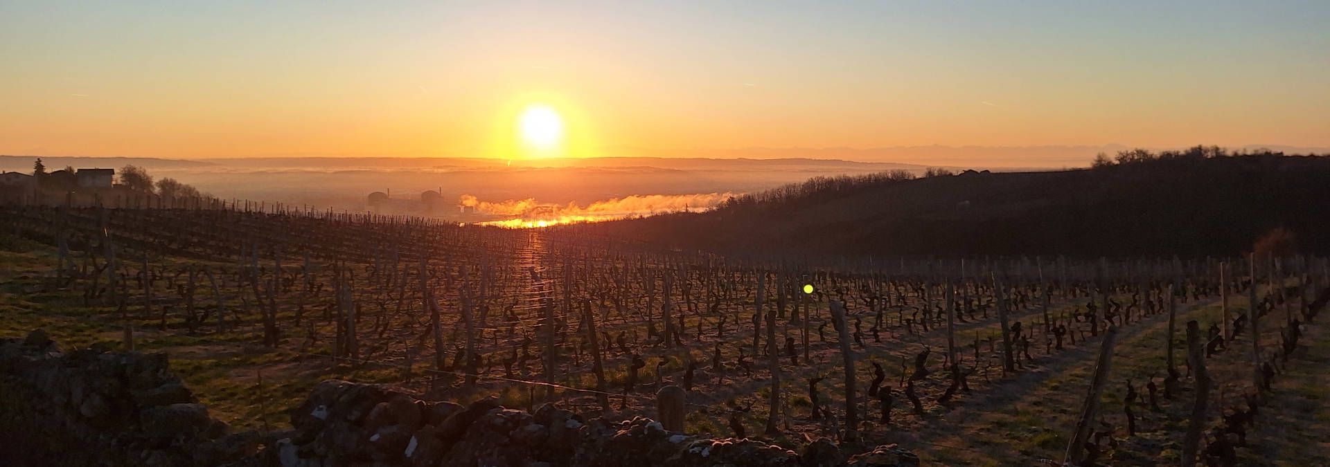 Domaine Barge - Rue des Vignerons