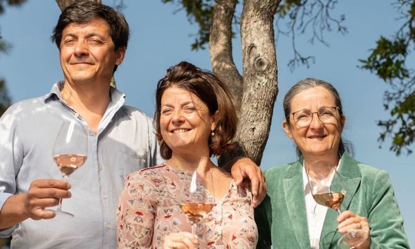 Dégustation au cœur des vignes-photo