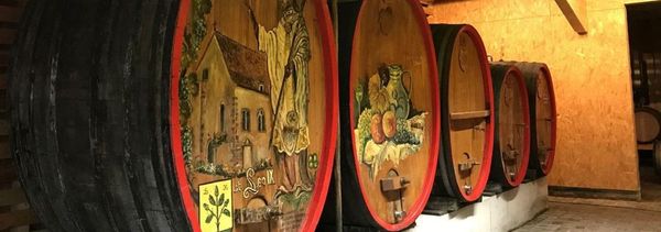 Visite de cave et dégustation commentée-photo