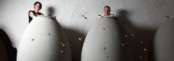 Esperienza in cantina-photo