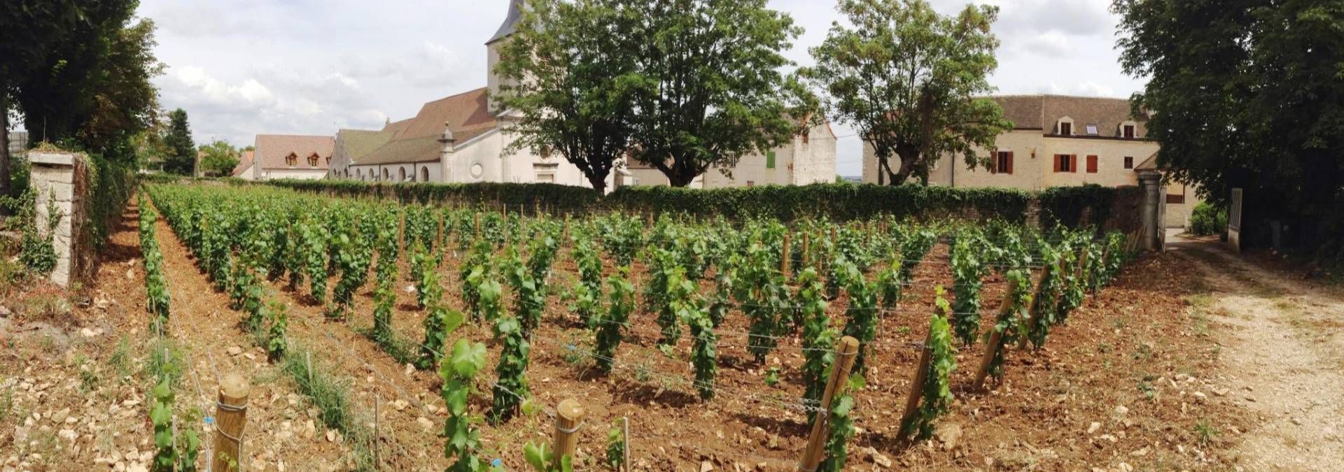 Les Héritiers Saint-Genys - Rue des Vignerons