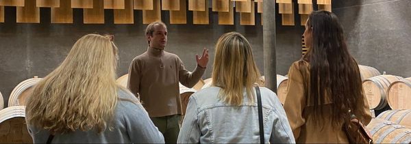 Descubrir un Graves Cru Classé-photo