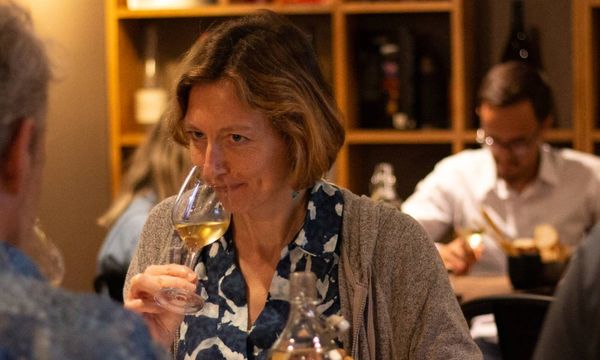 The basics of wine tasting in Toulouse-photo