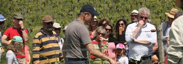 Immersion gourmande-photo