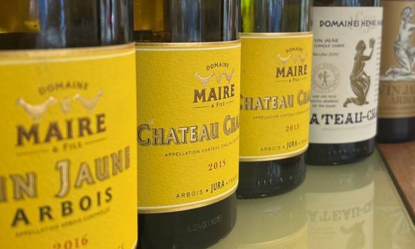 Dégustation spéciale Vins Jaunes-photo