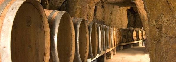 Unusual cellars !-photo