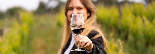 Entre les Rangs private tasting tour-photo