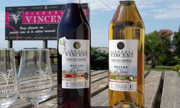 Discover the winery's grape varieties-photo